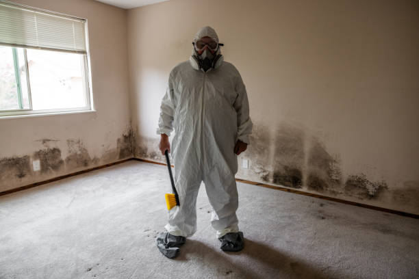 Best Residential Mold Removal  in Bethel, AK